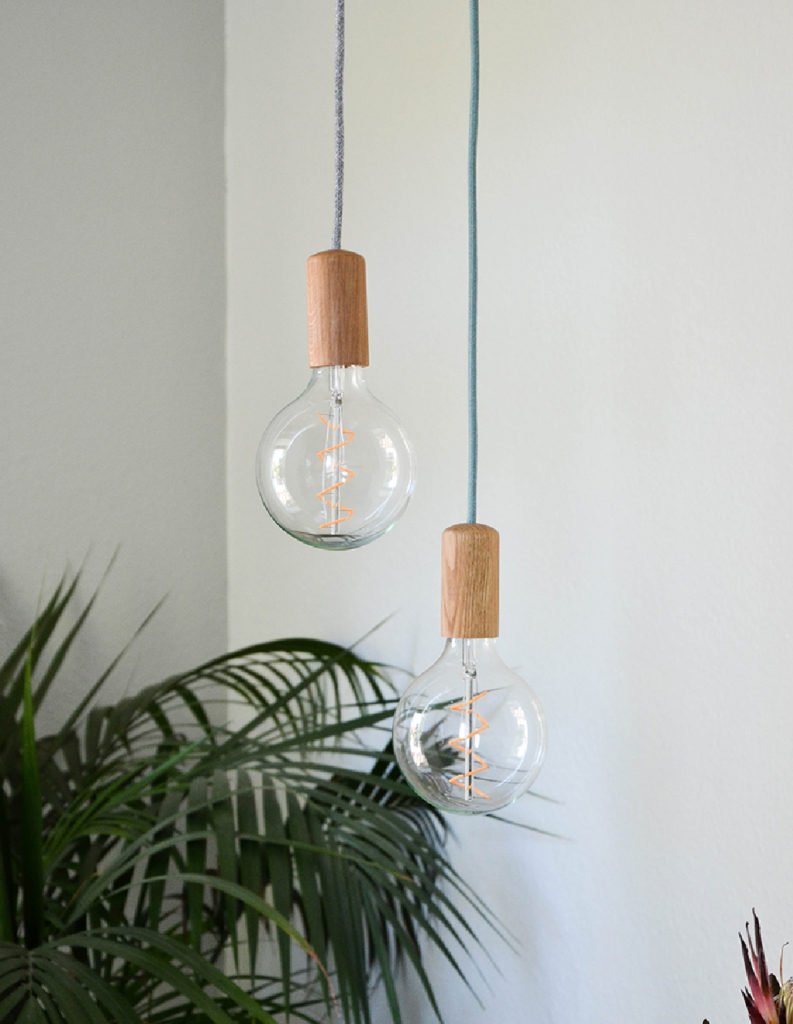 Zwei Glass und Holz hängende Lampen mit blauer Leitung über Pflanze
