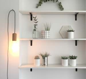 White shelf with potted plants and vases in a kitchen corner