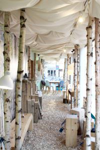 Wir haben einen Wald in unser Schaufenster gebaut.