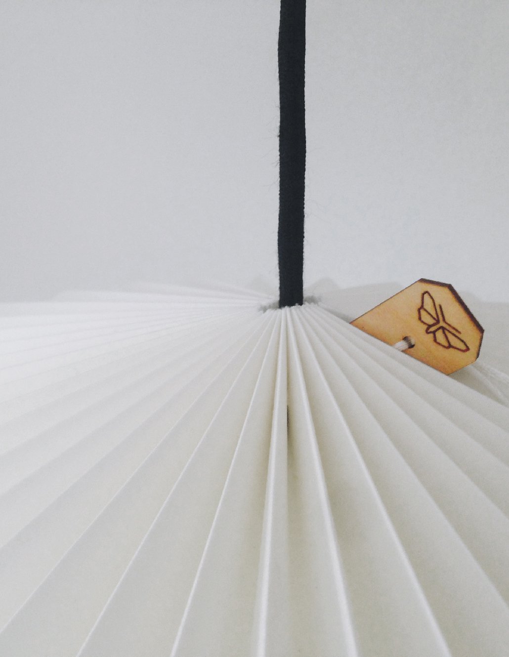 Handgefalteter Papierschirm Nachtfalter in Deutschland Weinheim auf weißem Buch