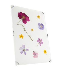 Elegantes Wandbild mit gepressten Blüten und minimalistischem Design-Stil