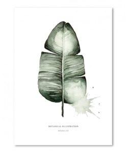 Elegante Aquarell-Illustration von Bananenblatt für Modernes Interior