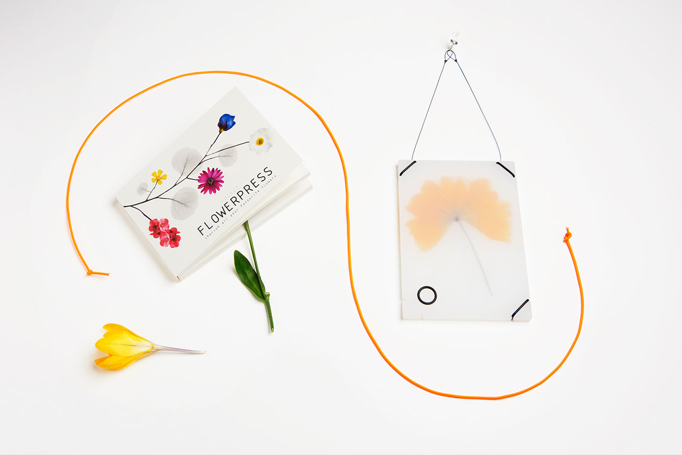 White table with book, leaf, and flower on a clean, organized room