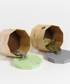 Handgefertigte Birkenholzkörbe mit getrockneten Blättern auf minimalistischem Hintergrund