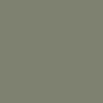 Linoleum in Olivetonhell