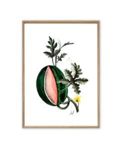 Kunstgrafik mit Obst in grüner und roter Kiste