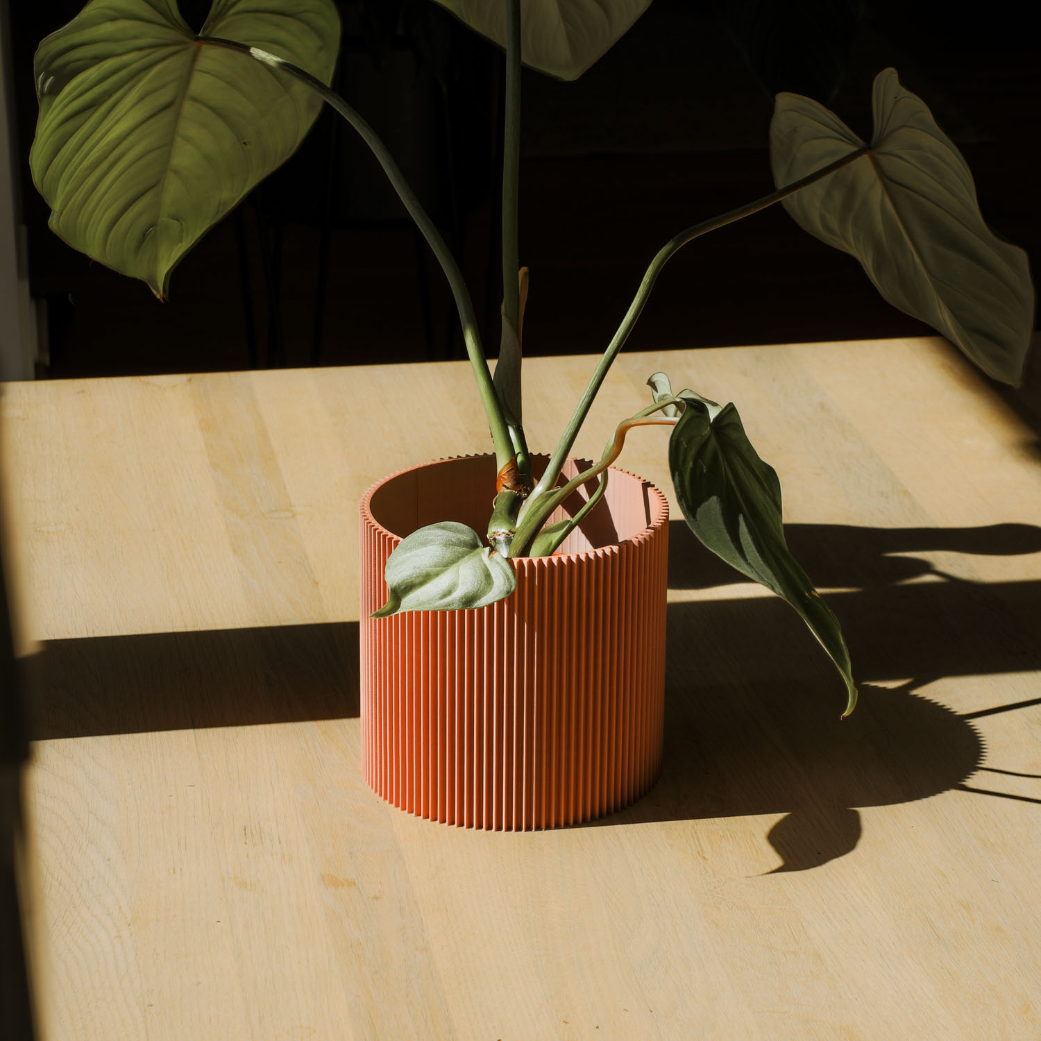 Moodbild_Übertopf_dennismaas_terrakotta