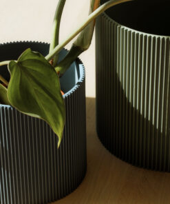 Zwei Vases mit Pflanzen auf einem Tisch